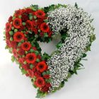 Sziv alakú - Nagy Koszorú