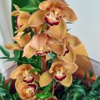 Aranyló orchidea virágcsokor